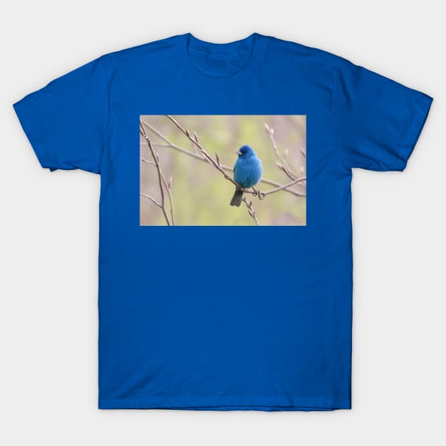 Indigo, Bunting No.2 T-Shirt by MaryLinH